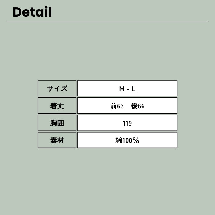 1568 コットンオックス布帛シャツブラウス
