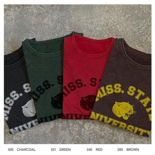 264170　ラグランパンサーT