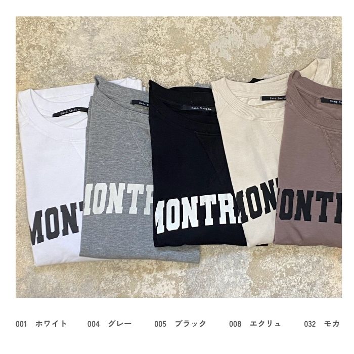 21084　コットンベア天ガゼットワイドシルエットロゴTシャツ