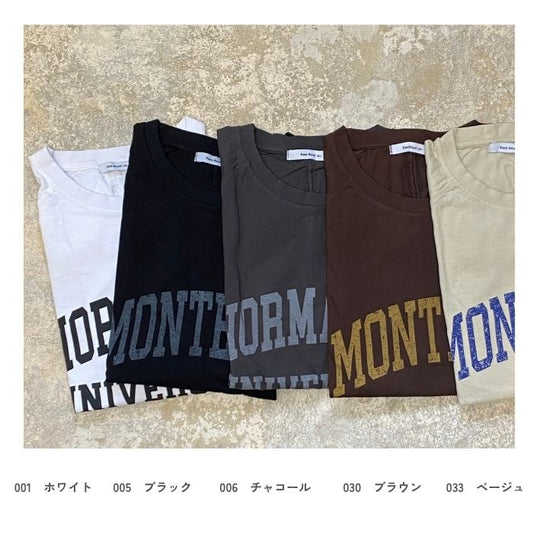21089　バイオポリウォッシュビッグラグランロゴTシャツ