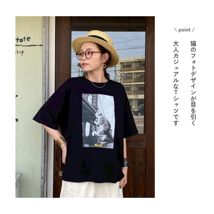 250751　ネコフォトT