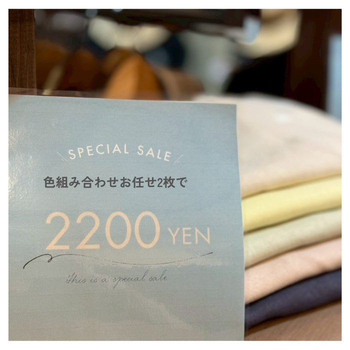 6230　ヘビーウェイト天竺半袖PO 色組み合わせお任せ2枚２２００円