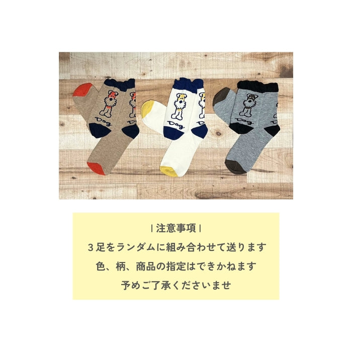 靴下3足おまかせセット
