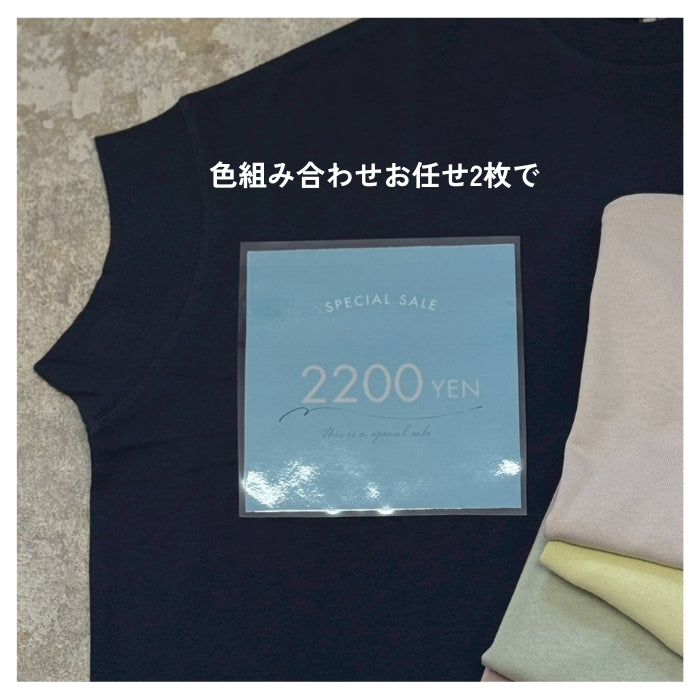 6230　ヘビーウェイト天竺半袖PO 色組み合わせお任せ2枚２２００円