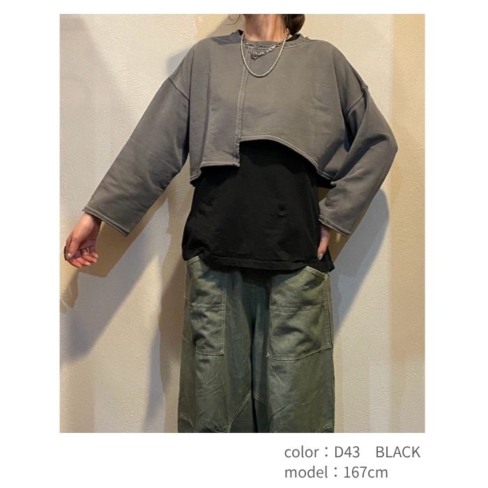 80515372　リメイク風ショートPO