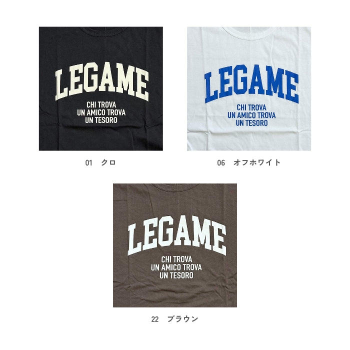 5843906　カレッジワイドロゴTシャツ
